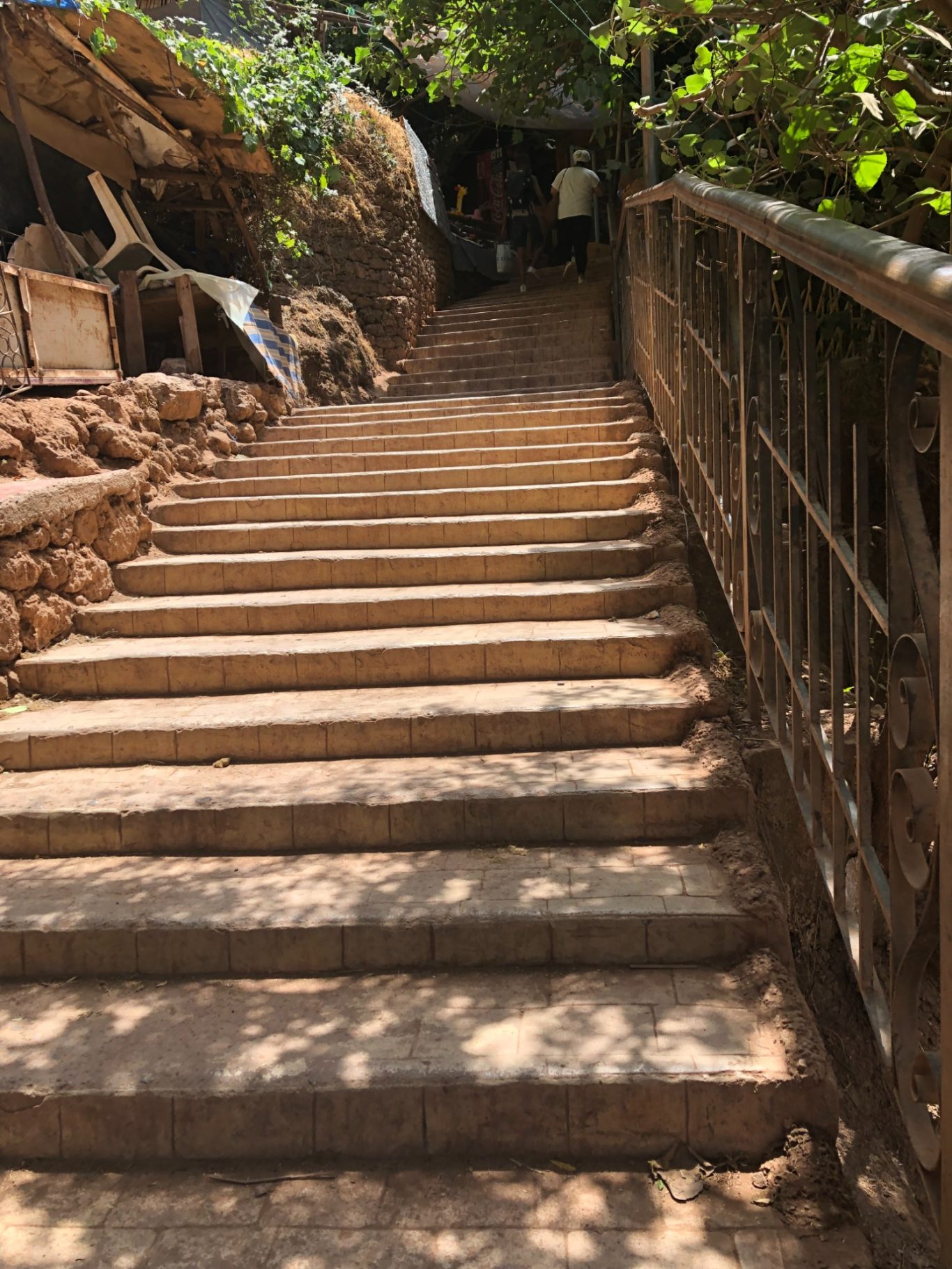 Stone steps leading up a shaded path through greenery.