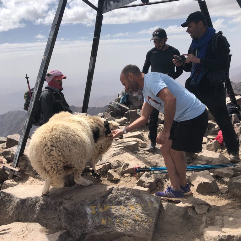 A man feeds a sheep at a mountain summit with people and a structure in the background.