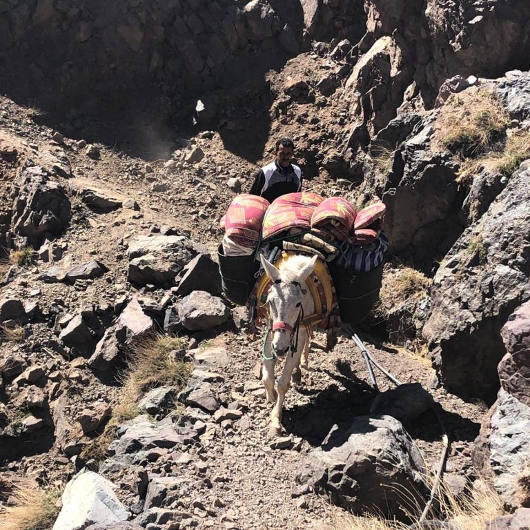 A mule carries goods along a rocky, mountainous trail.