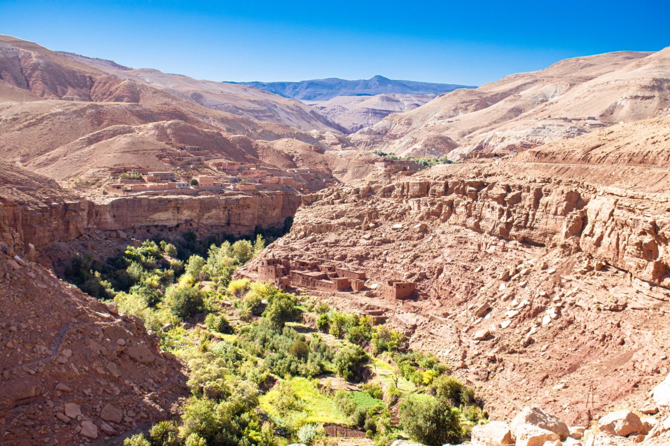 Vast canyon landscape with a green valley and mountains under a clear blue sky.