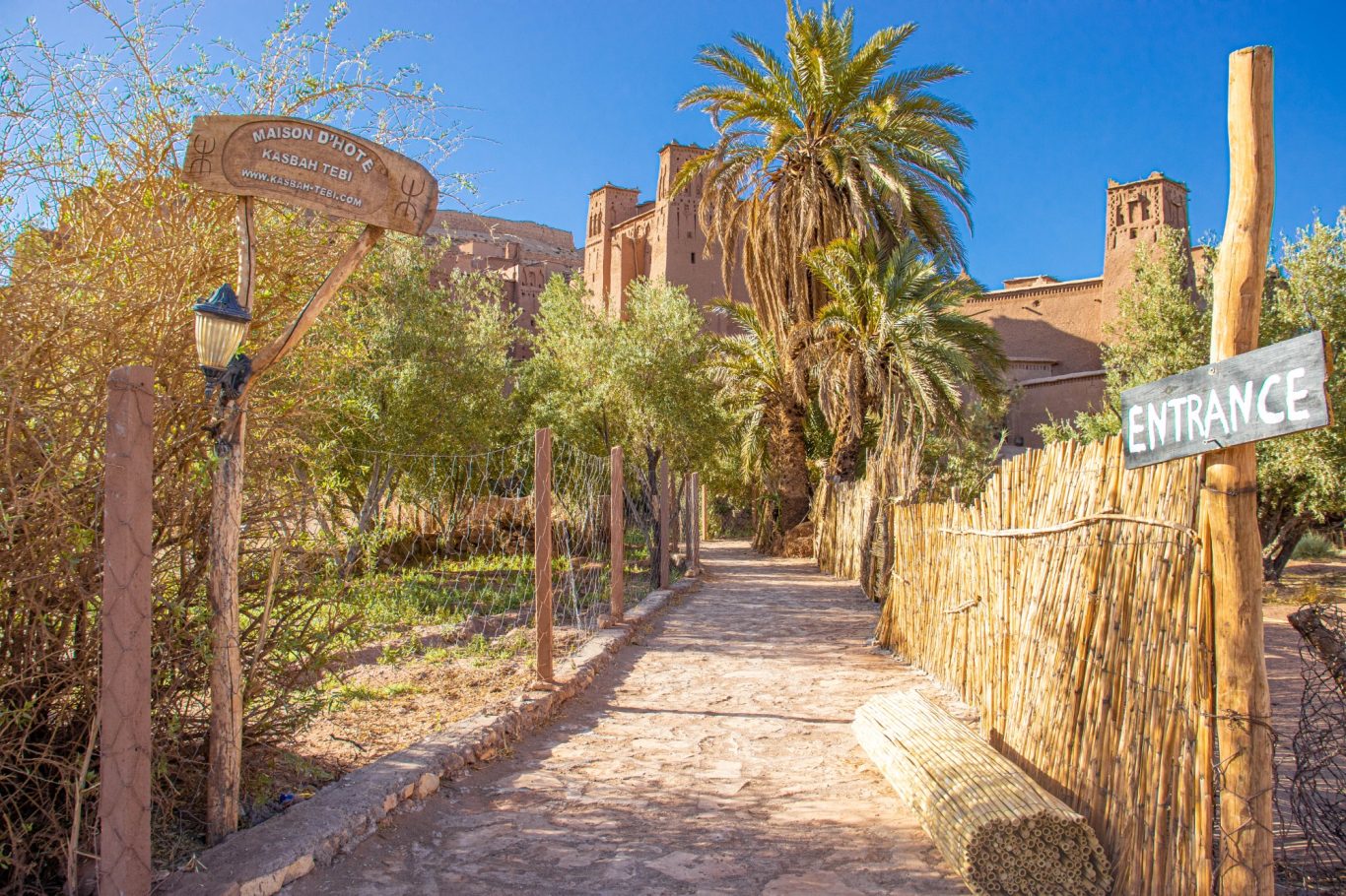 Path leading to a structure surrounded by palm trees and greenery under a blue sky.