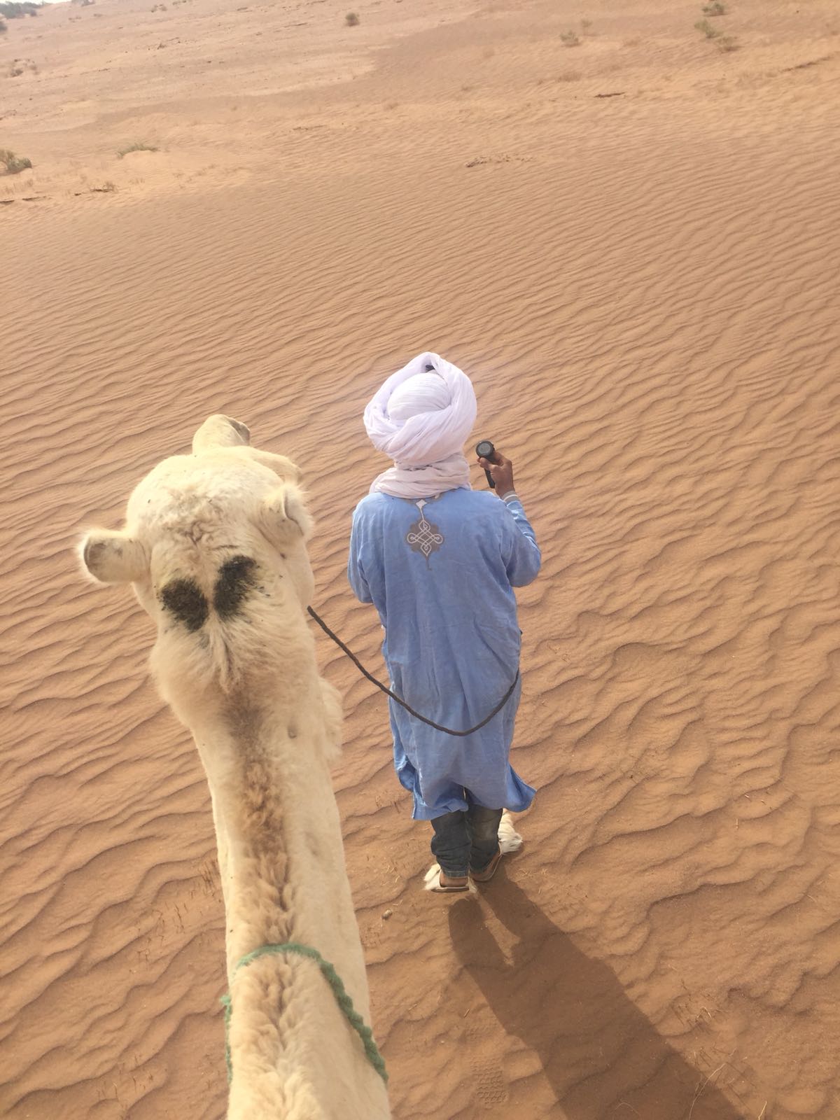 A person in traditional attire walking in the desert, leading a camel.