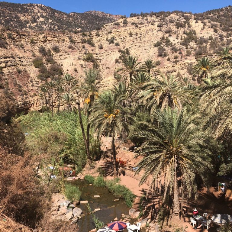 A lush valley with palm trees and a small stream, surrounded by rocky hills.