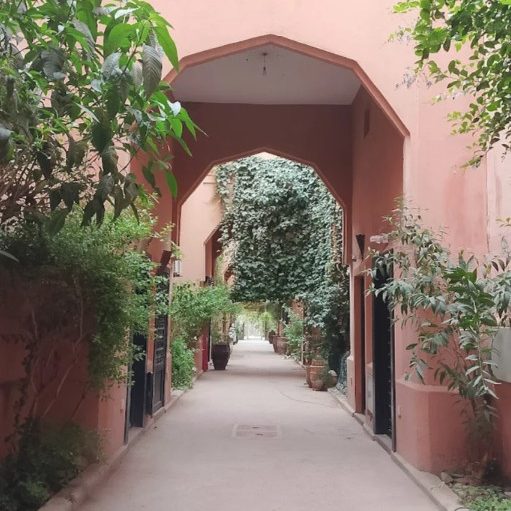 Narrow pathway lined with plants and trees, leading through an archway.