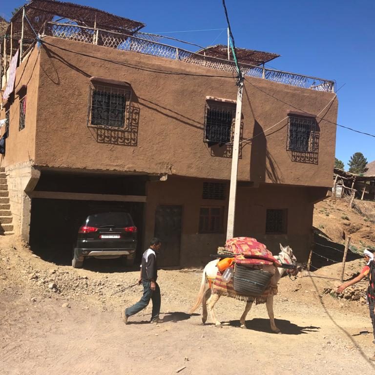 A person walking a donkey loaded with goods past a traditional adobe house.