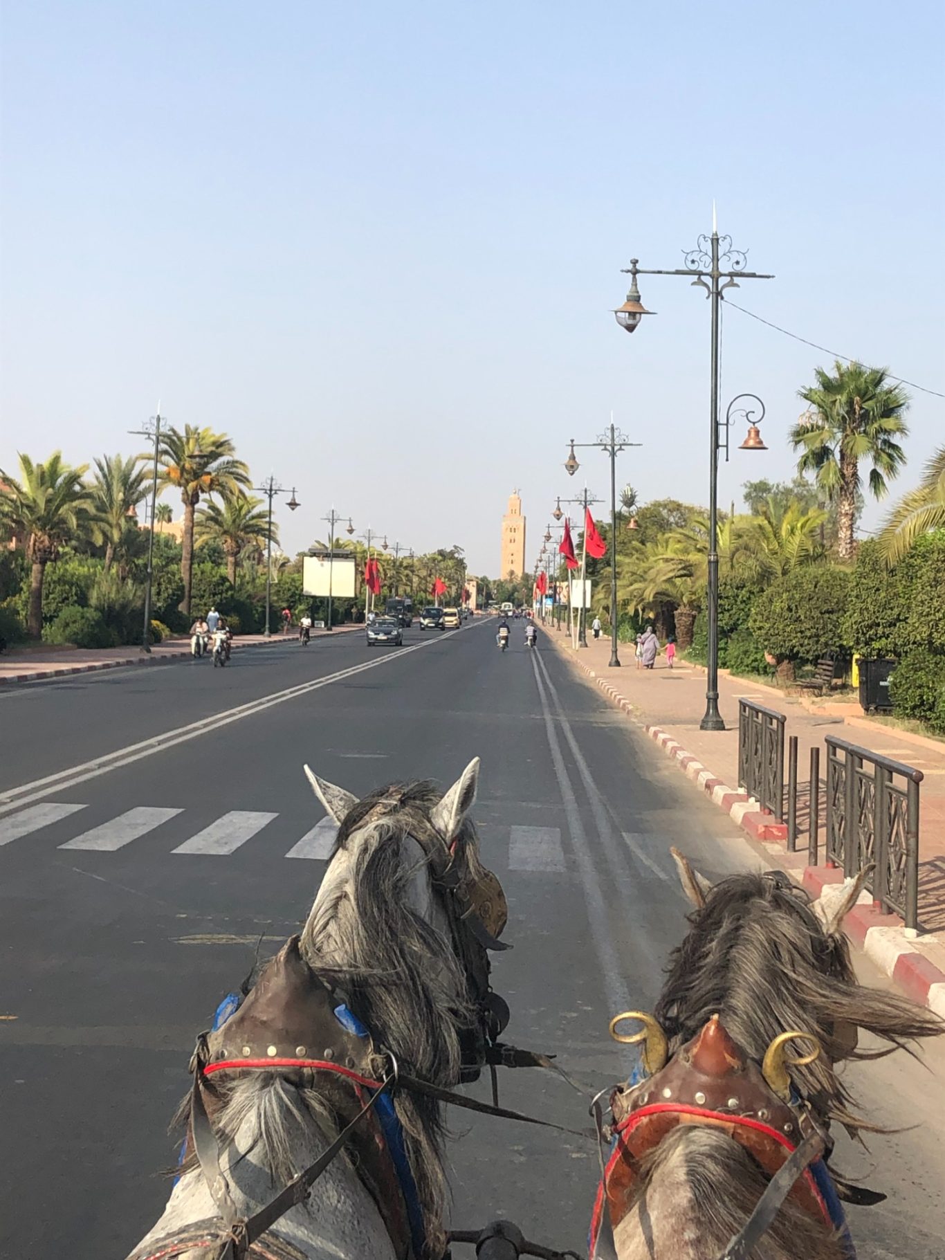View from a horse-drawn carriage on a palm-lined road leading to a tall monument.