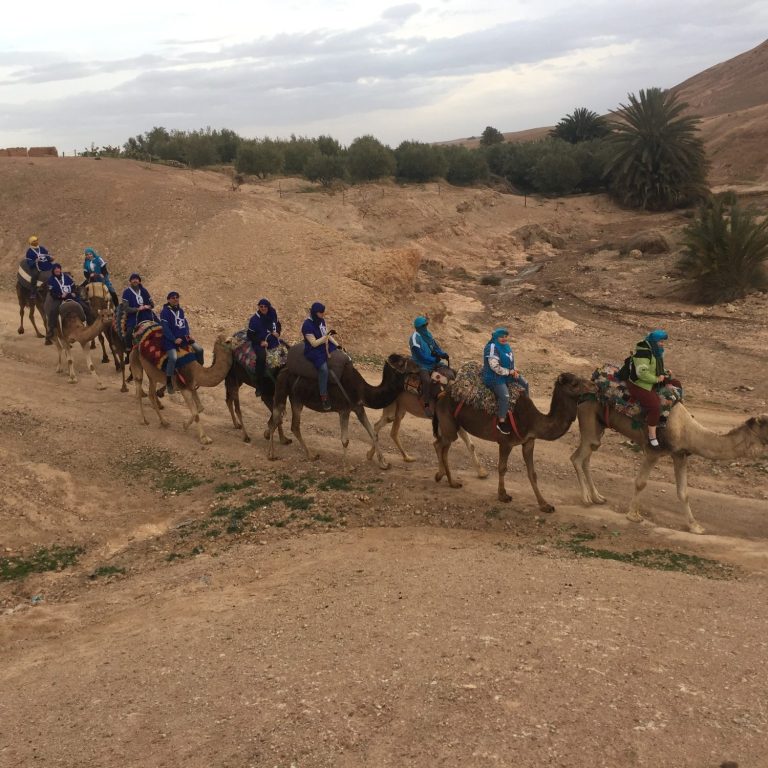 A line of people on camels walking through a desert landscape.