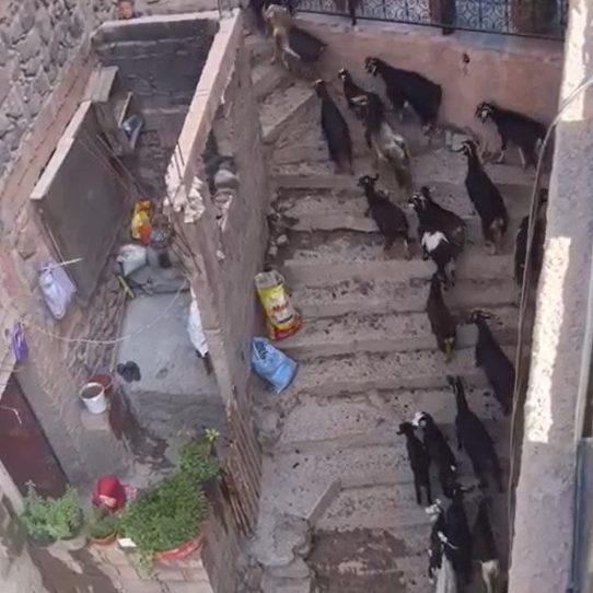Rugged building entrance in a hilly terrain with eroded surroundings.