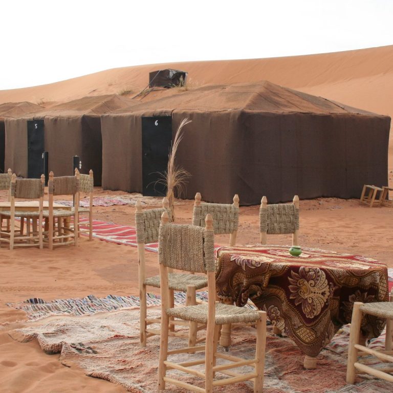 Ancient adobe buildings on a hillside, surrounded by palm trees and a clear blue sky.